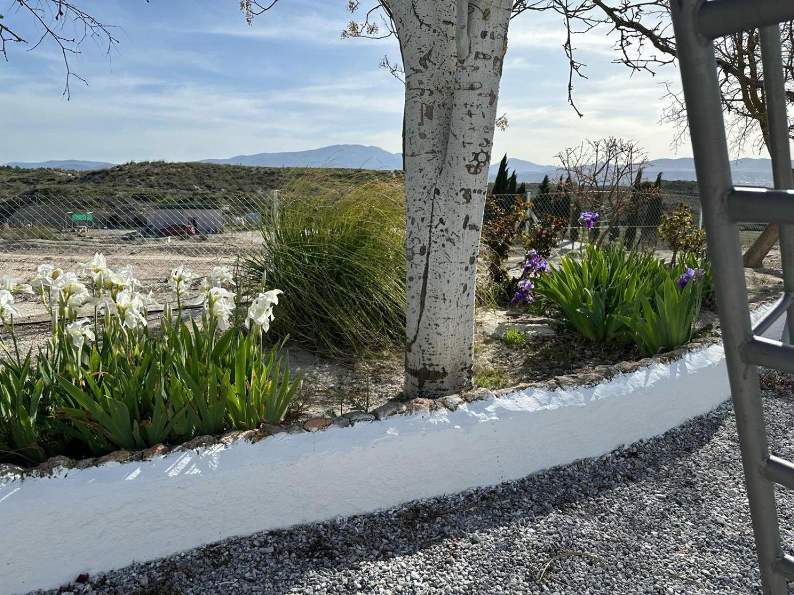 Cuevas Tiana Appartement El Aljibete