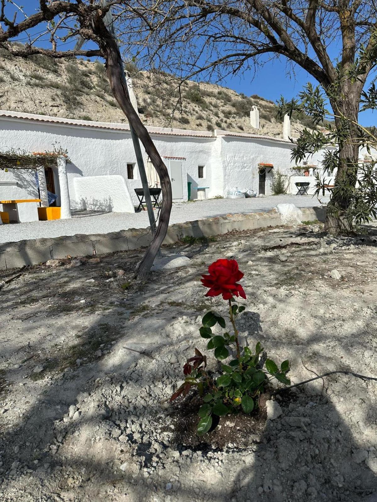 Appartement Cuevas Tiana El Aljibete